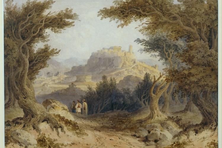 Ο ΕΛΑΙΩΝΑΣ ΤΗΣ ΑΘΗΝΑΣ: ΑΠΟ ΤΑ 117000 ΑΡΧΑΙΑ ΑΙΩΝΟΒΙΑ ΕΛΑΙΟΔΕΝΤΡΑ ΣΕ ΕΝΑ ΠΑΡΗΚΜΑΣΜΕΝΟ ΤΟΠΙΟ