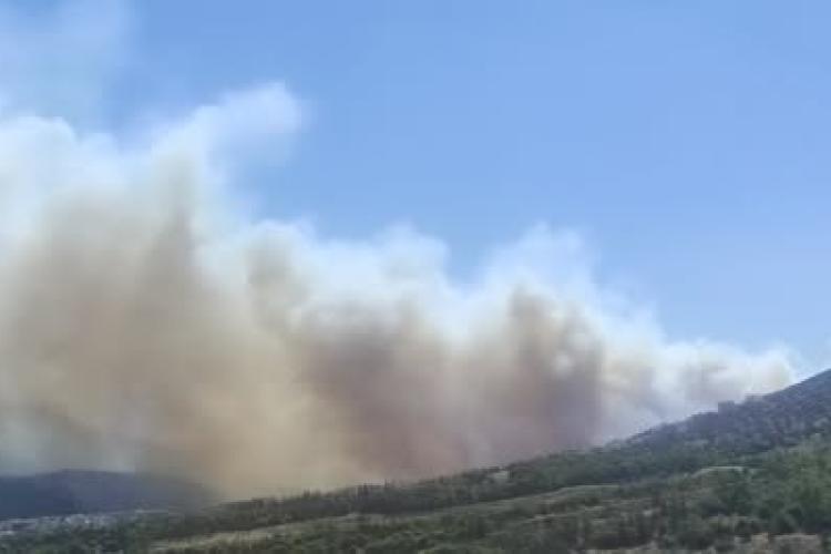ςεργ3ργ